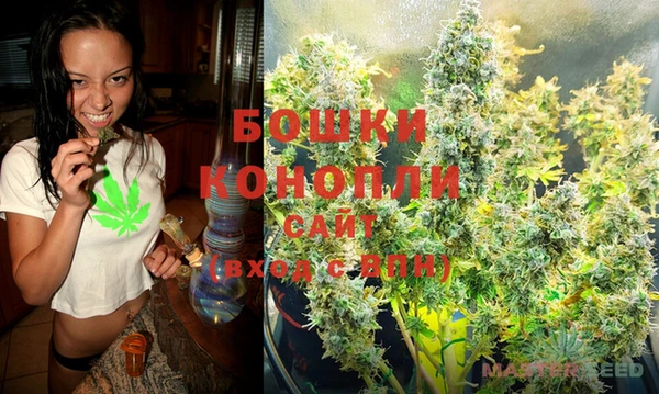 дживик Осташков