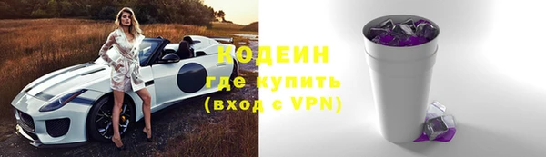 хмурый Осинники