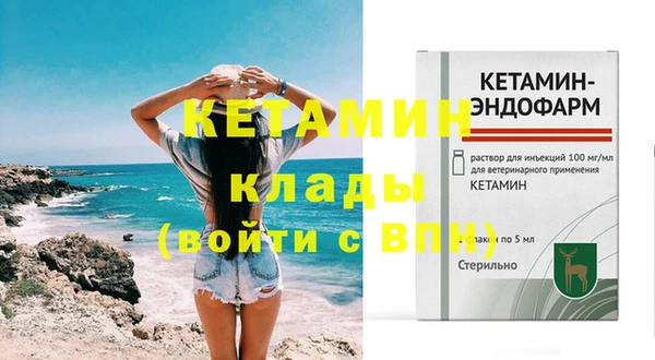 хмурый Осинники