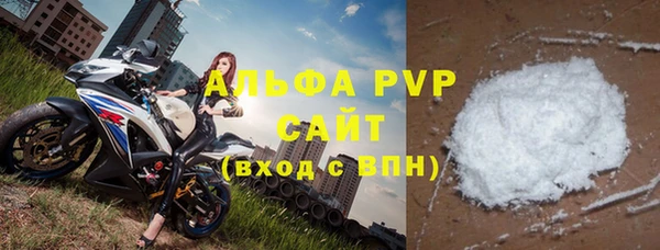 хмурый Осинники