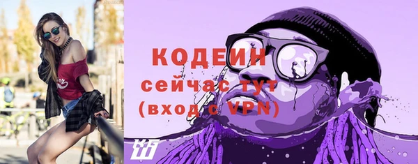 хмурый Осинники