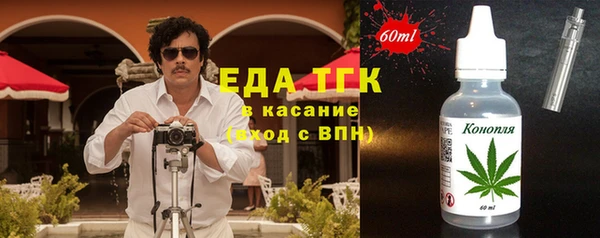 хмурый Осинники