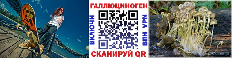 Галлюциногенные грибы Psilocybe  Купить закладки  Сланцы 